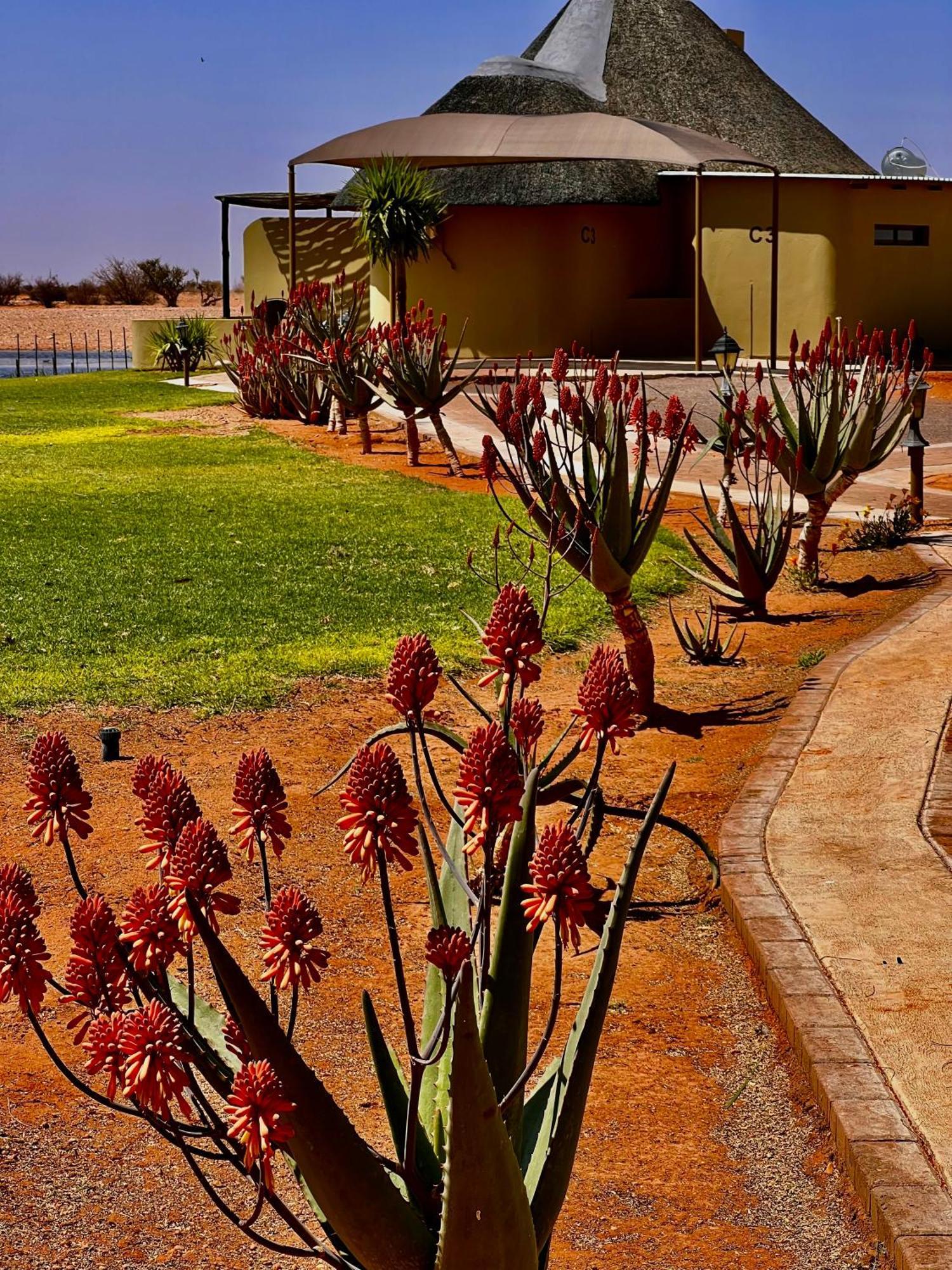Lapa Lange Game Lodge Mariental Buitenkant foto